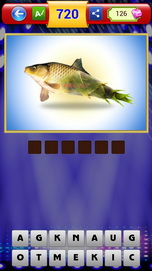 Đáp án đuổi hình bắt chữ - Cá măng