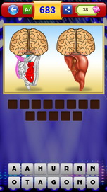 Đáp án đuổi hình bắt chữ - Não ruột não gan